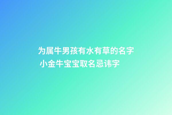 为属牛男孩有水有草的名字 小金牛宝宝取名忌讳字